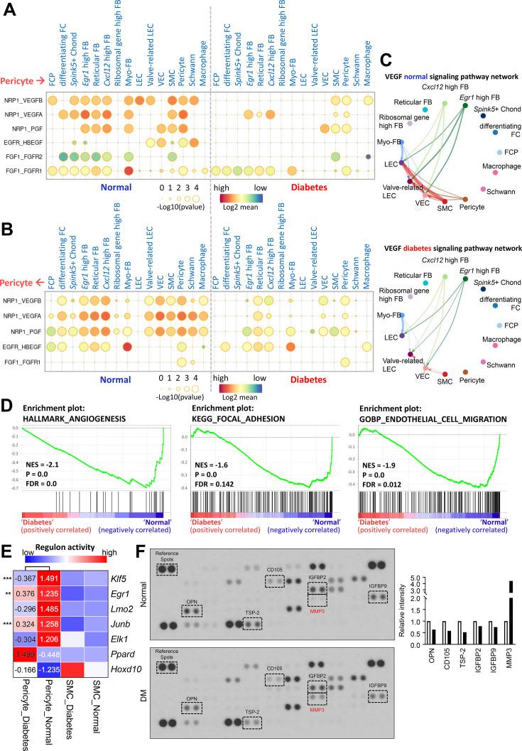 https://cdn.ncbi.nlm.nih.gov/pmc/blobs/6289/11164535/6d89e68ae1af/elife-88942-fig3.jpg