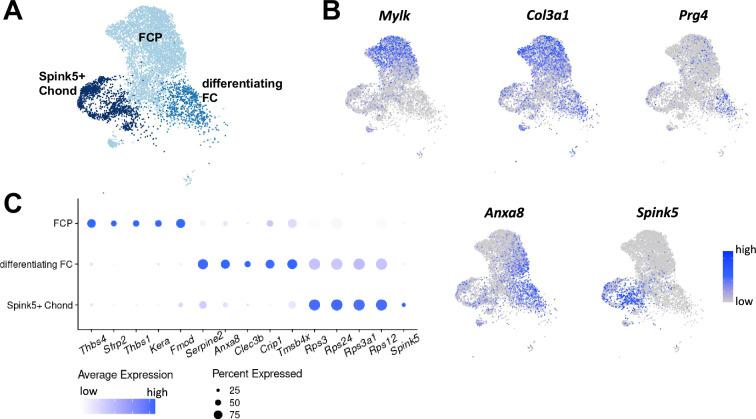 https://cdn.ncbi.nlm.nih.gov/pmc/blobs/6289/11164535/a635325cd935/elife-88942-fig1-figsupp1.jpg