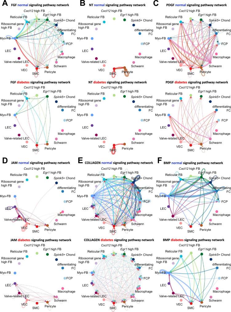 https://cdn.ncbi.nlm.nih.gov/pmc/blobs/6289/11164535/b2a814e2016b/elife-88942-fig3-figsupp2.jpg