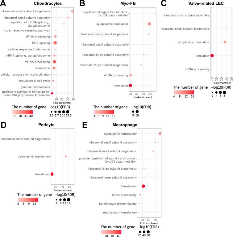 https://cdn.ncbi.nlm.nih.gov/pmc/blobs/6289/11164535/f17f9283ce37/elife-88942-fig1-figsupp4.jpg