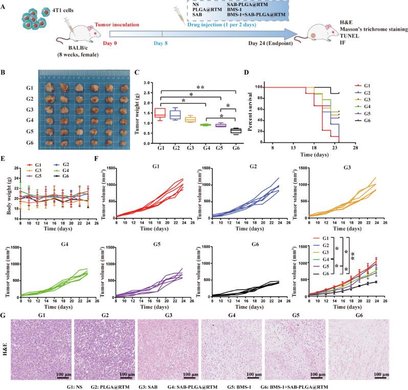 https://cdn.ncbi.nlm.nih.gov/pmc/blobs/6289/12360003/0571f8683bee/12951_2025_3663_Fig7_HTML.jpg