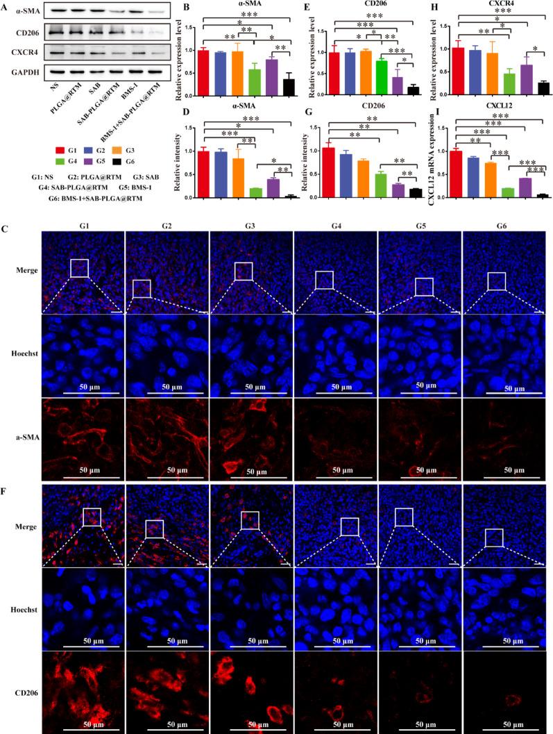 https://cdn.ncbi.nlm.nih.gov/pmc/blobs/6289/12360003/099ad425cc1c/12951_2025_3663_Fig9_HTML.jpg