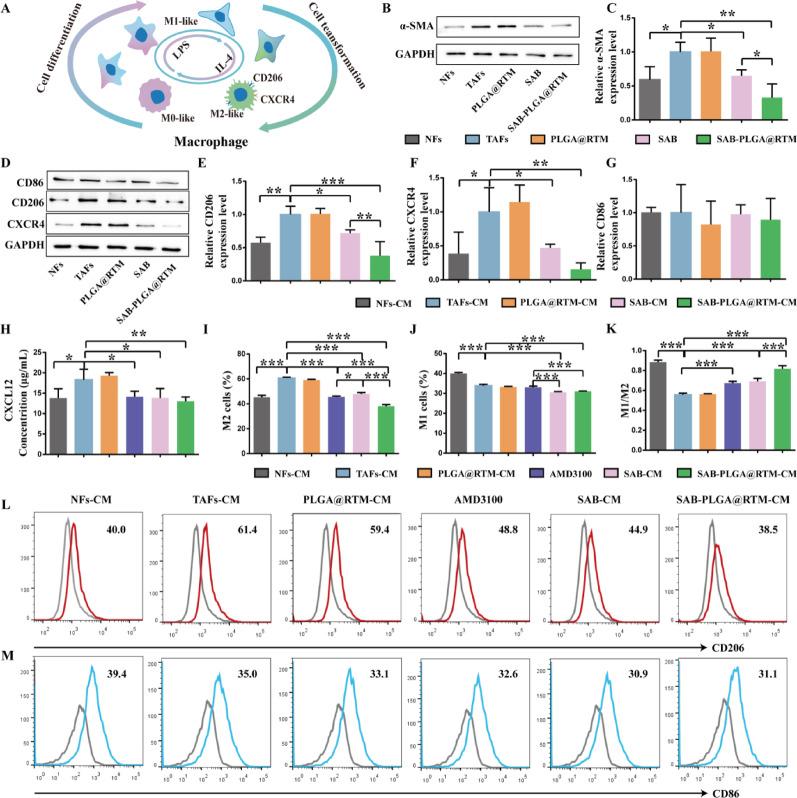 https://cdn.ncbi.nlm.nih.gov/pmc/blobs/6289/12360003/209f8d9550f8/12951_2025_3663_Fig5_HTML.jpg
