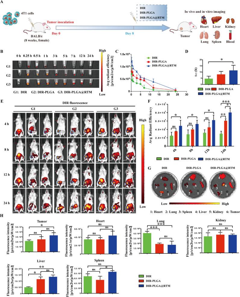 https://cdn.ncbi.nlm.nih.gov/pmc/blobs/6289/12360003/7166fd770b62/12951_2025_3663_Fig6_HTML.jpg