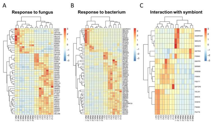 https://cdn.ncbi.nlm.nih.gov/pmc/blobs/6289/9654444/0250797d4639/ijerph-19-14441-g004.jpg