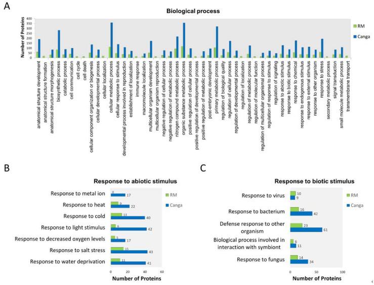 https://cdn.ncbi.nlm.nih.gov/pmc/blobs/6289/9654444/0260d3ffb484/ijerph-19-14441-g002.jpg