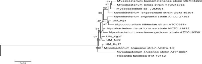 https://cdn.ncbi.nlm.nih.gov/pmc/blobs/628a/4382200/889887c2d770/pone.0120789.g002.jpg