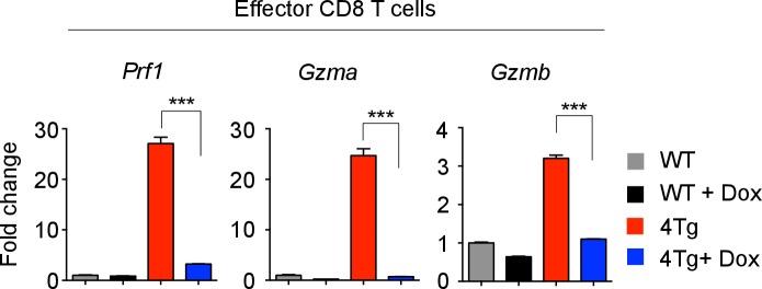 https://cdn.ncbi.nlm.nih.gov/pmc/blobs/628d/5550279/0bfbed7b58a4/elife-26398-fig4-figsupp1.jpg