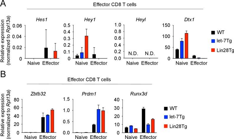 https://cdn.ncbi.nlm.nih.gov/pmc/blobs/628d/5550279/434b4790f560/elife-26398-fig5-figsupp1.jpg