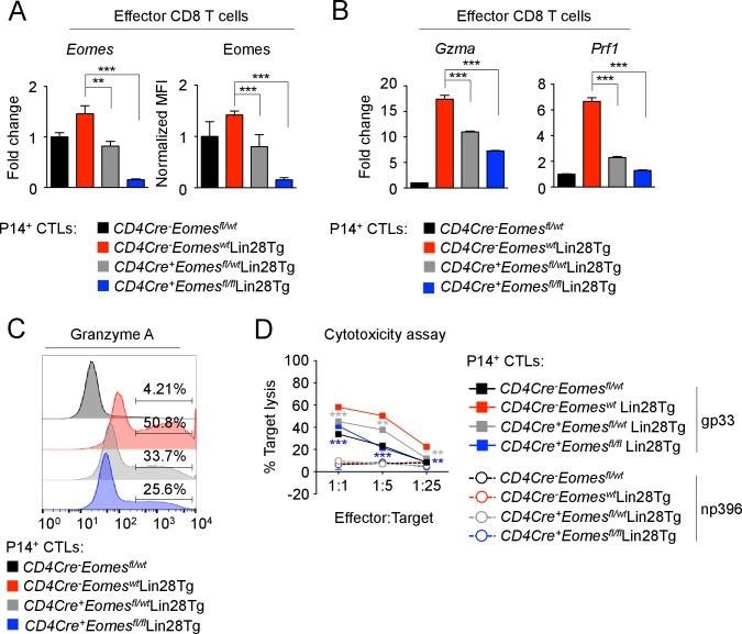 https://cdn.ncbi.nlm.nih.gov/pmc/blobs/628d/5550279/de95176e6b16/elife-26398-fig6.jpg