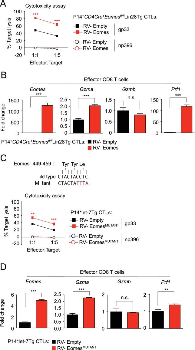 https://cdn.ncbi.nlm.nih.gov/pmc/blobs/628d/5550279/f951449bb172/elife-26398-fig6-figsupp2.jpg