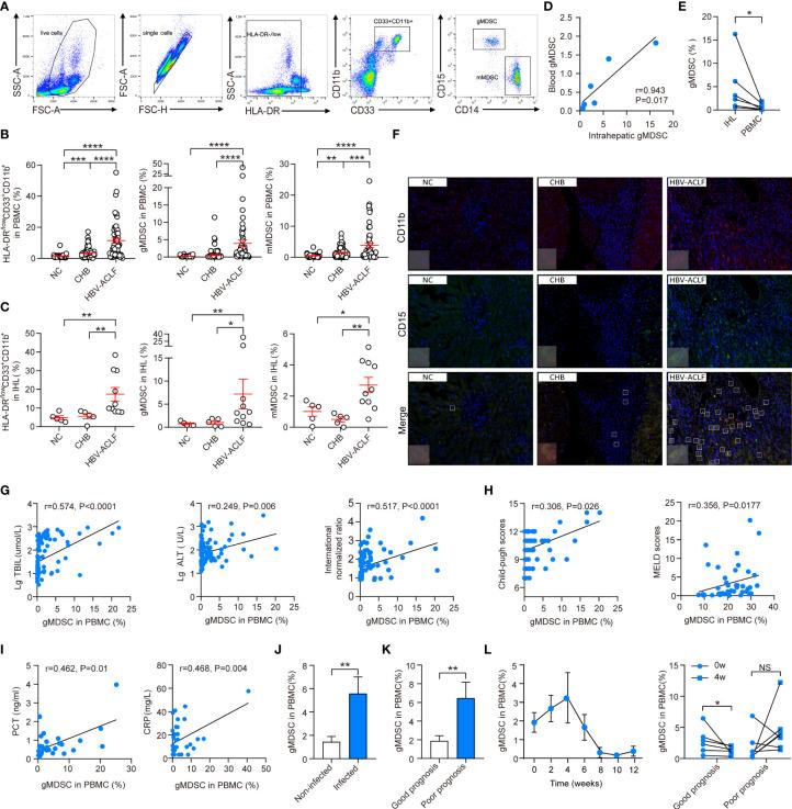 https://cdn.ncbi.nlm.nih.gov/pmc/blobs/628d/9847254/a87ff0704287/fimmu-13-966514-g001.jpg