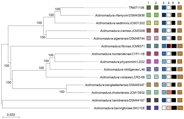 https://cdn.ncbi.nlm.nih.gov/pmc/blobs/6293/12114206/aee933e0f31f/microorganisms-13-01068-g002.jpg