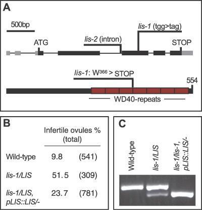 https://cdn.ncbi.nlm.nih.gov/pmc/blobs/6294/1821049/bdff98291bd8/pbio.0050047.g005.jpg