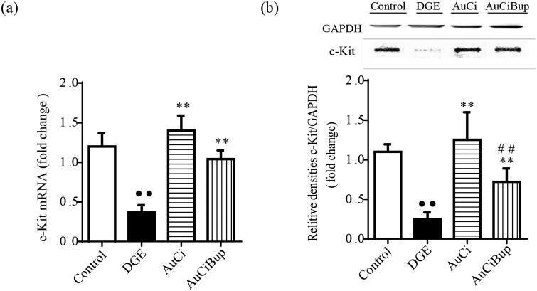 https://cdn.ncbi.nlm.nih.gov/pmc/blobs/6296/9897790/49d1710ae4c7/IPHB_A_2173249_F0006_B.jpg