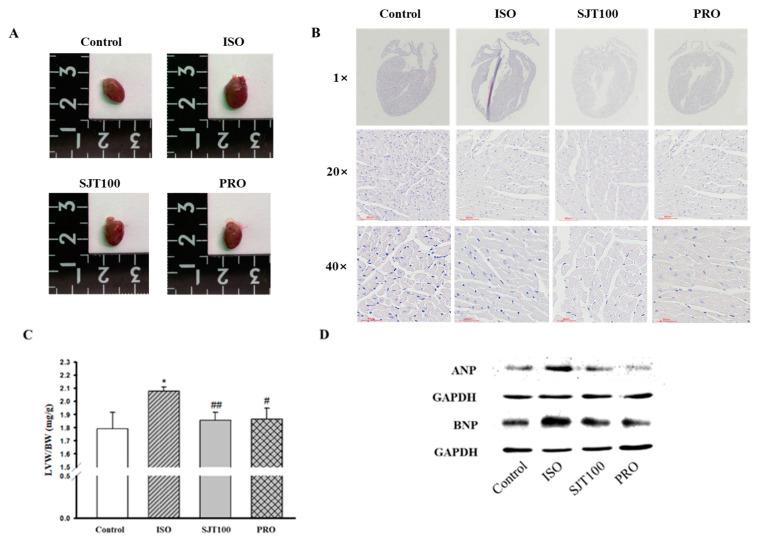 https://cdn.ncbi.nlm.nih.gov/pmc/blobs/6298/10744393/18b69b903ccb/life-13-02307-g008.jpg