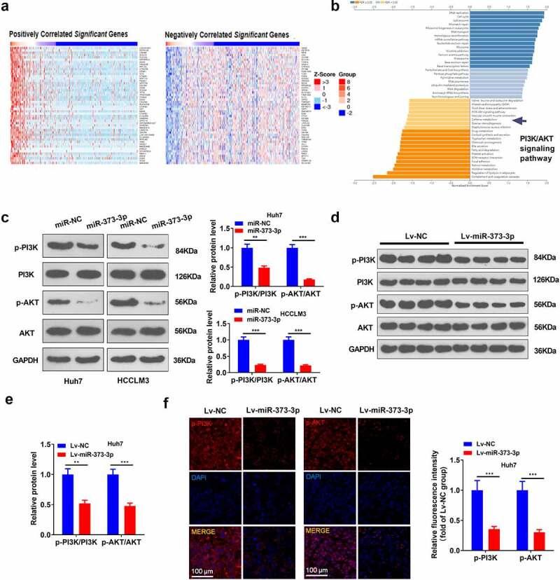 https://cdn.ncbi.nlm.nih.gov/pmc/blobs/6299/8805941/7ecc8b5b7391/KBIE_A_2014616_F0004_OC.jpg