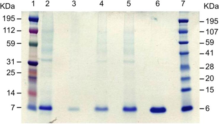 https://cdn.ncbi.nlm.nih.gov/pmc/blobs/629a/4725576/46482011be6a/gr1.jpg
