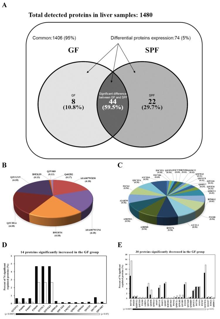 https://cdn.ncbi.nlm.nih.gov/pmc/blobs/629a/5370288/e8c5380d1c32/ijmsv14p0257g004.jpg