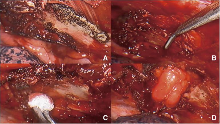 https://cdn.ncbi.nlm.nih.gov/pmc/blobs/629b/10902856/4868bbb2ed77/atcs-30-1-23-00110-figure02.jpg