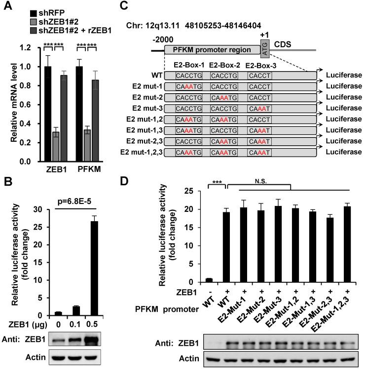 https://cdn.ncbi.nlm.nih.gov/pmc/blobs/629c/8058737/956ed8eba9c6/thnov11p5926g003.jpg