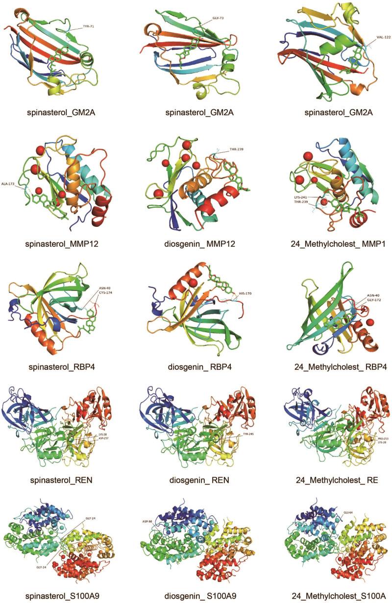 https://cdn.ncbi.nlm.nih.gov/pmc/blobs/629d/10470816/4ed213f5656c/medi-102-e34859-g010.jpg