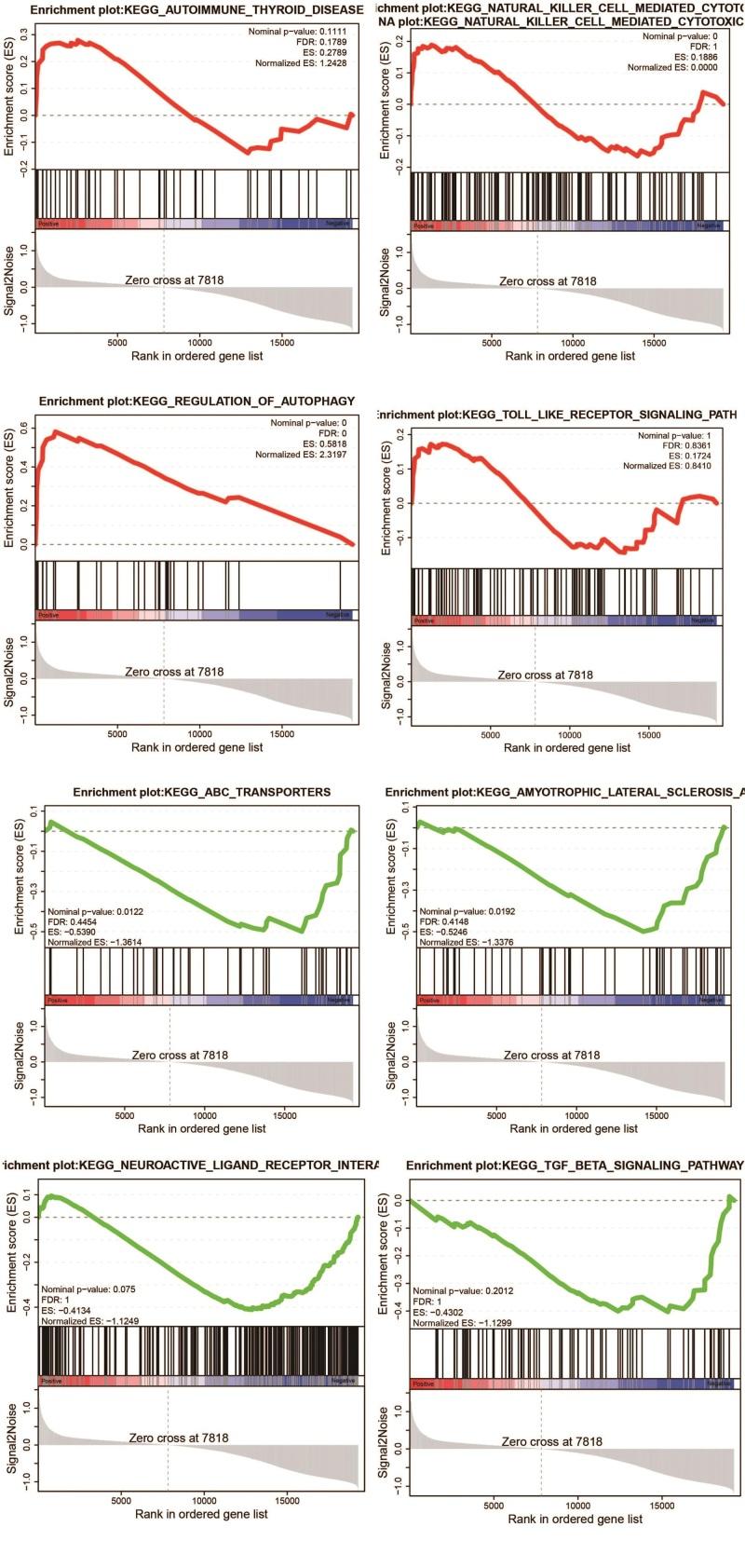 https://cdn.ncbi.nlm.nih.gov/pmc/blobs/629d/10470816/fc3a2f6be071/medi-102-e34859-g006.jpg