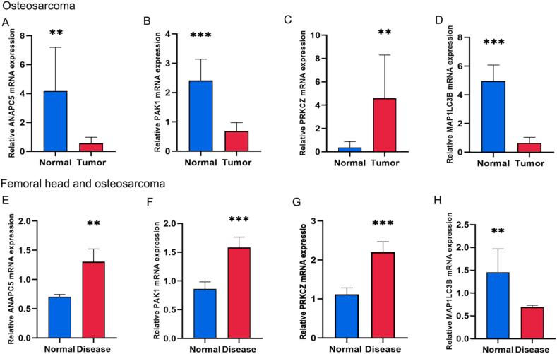 https://cdn.ncbi.nlm.nih.gov/pmc/blobs/62a0/11168324/0fe364046249/gr6.jpg