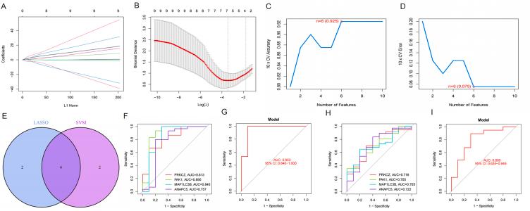 https://cdn.ncbi.nlm.nih.gov/pmc/blobs/62a0/11168324/eacb49db64ac/gr3.jpg
