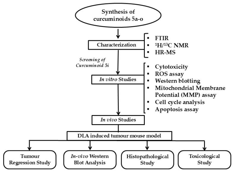 https://cdn.ncbi.nlm.nih.gov/pmc/blobs/62a0/11989719/8c15ec4c79d5/ijms-26-03186-g005.jpg