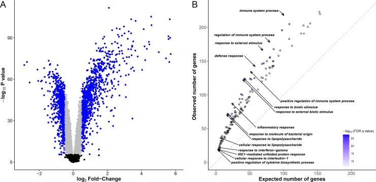 https://cdn.ncbi.nlm.nih.gov/pmc/blobs/62a2/5565194/0405aad02227/pgen.1006952.g001.jpg