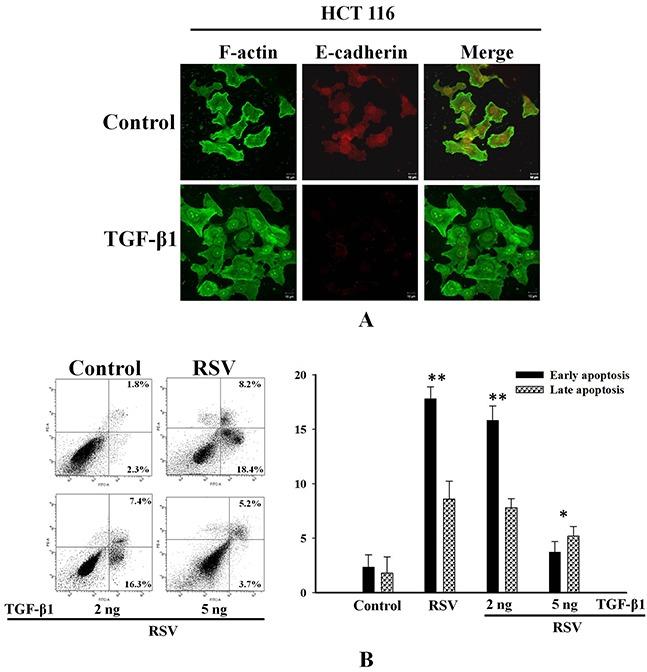 https://cdn.ncbi.nlm.nih.gov/pmc/blobs/62a4/5593591/52a365cb76b9/oncotarget-08-56659-g006.jpg