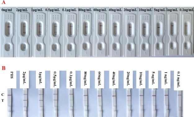 https://cdn.ncbi.nlm.nih.gov/pmc/blobs/62a4/6646762/1375dc7132d9/ao-2018-02366v_0005.jpg
