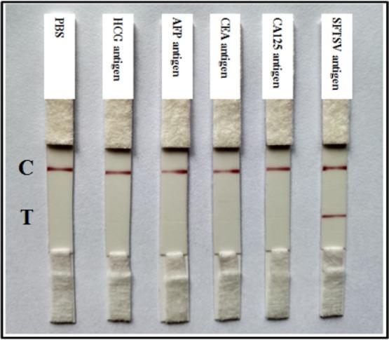 https://cdn.ncbi.nlm.nih.gov/pmc/blobs/62a4/6646762/a455b4e5db85/ao-2018-02366v_0004.jpg