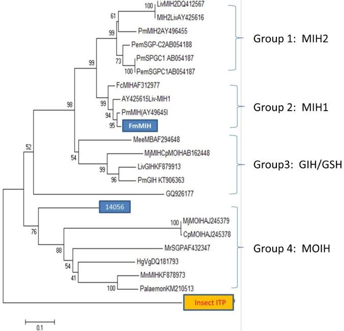 https://cdn.ncbi.nlm.nih.gov/pmc/blobs/62a5/5858750/4914d822e356/pone.0193375.g003.jpg