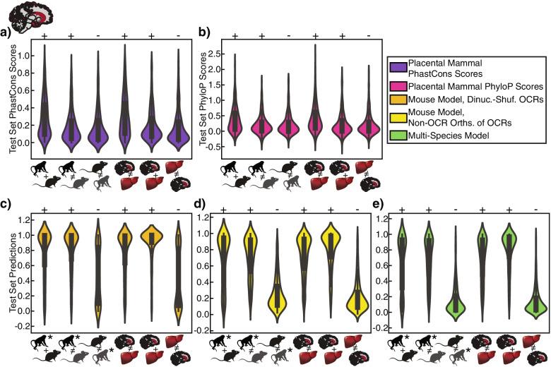 https://cdn.ncbi.nlm.nih.gov/pmc/blobs/62a6/8996547/4609755ddb27/12864_2022_8450_Fig2_HTML.jpg