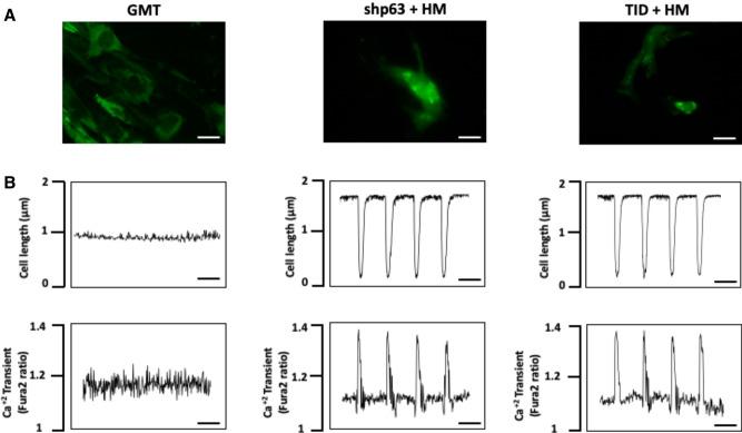 https://cdn.ncbi.nlm.nih.gov/pmc/blobs/62a6/9259667/59f87c3489e3/41598_2022_15559_Fig5_HTML.jpg