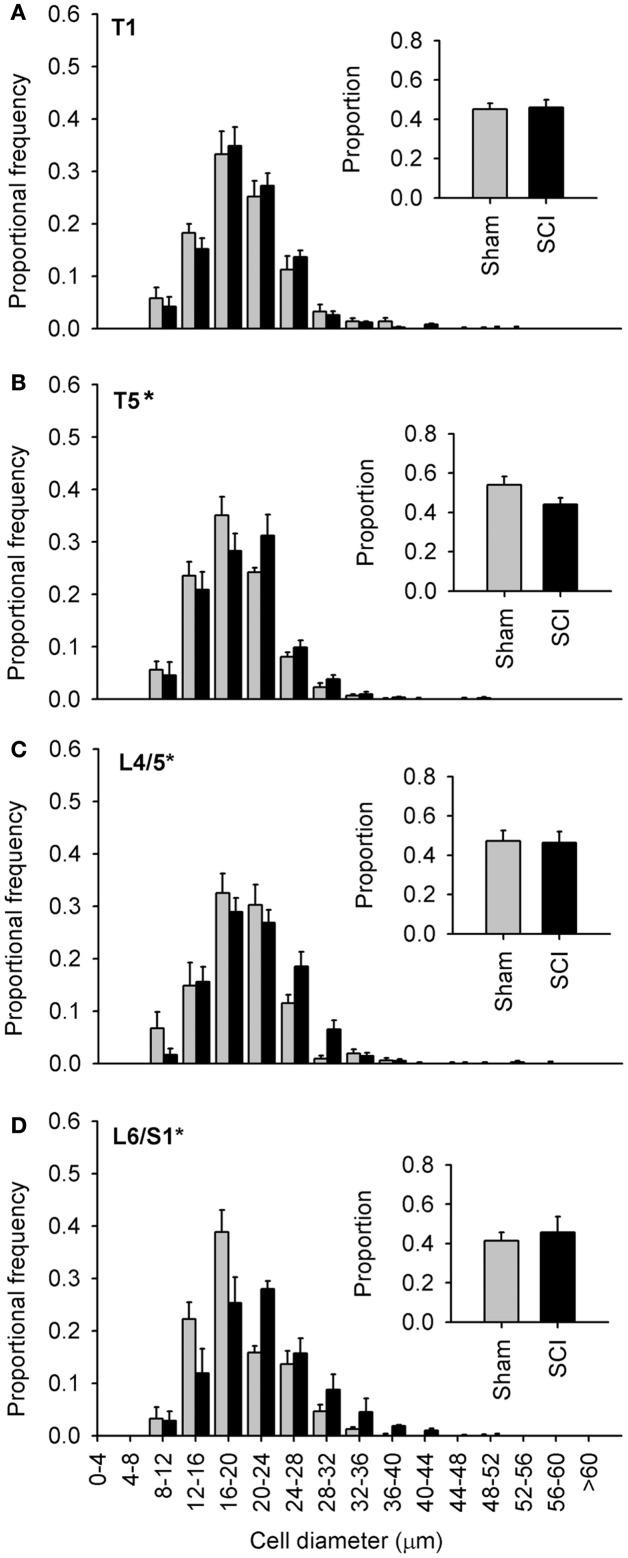 https://cdn.ncbi.nlm.nih.gov/pmc/blobs/62a7/3429033/72f641760004/fphys-03-00257-g004.jpg