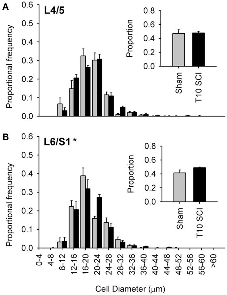 https://cdn.ncbi.nlm.nih.gov/pmc/blobs/62a7/3429033/8b583684a73e/fphys-03-00257-g006.jpg