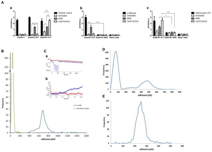 https://cdn.ncbi.nlm.nih.gov/pmc/blobs/62a7/5339304/186c0229db1a/fmicb-08-00321-g006.jpg