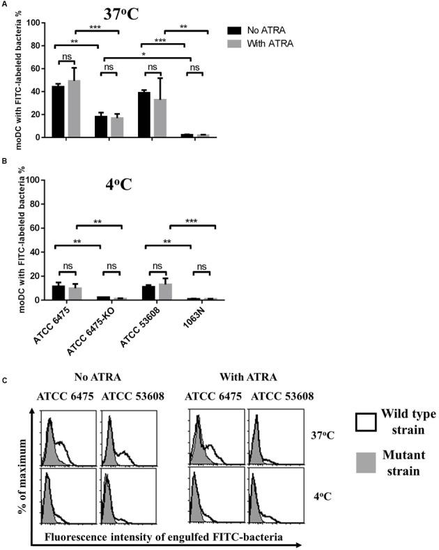 https://cdn.ncbi.nlm.nih.gov/pmc/blobs/62a7/5339304/19c384e440a8/fmicb-08-00321-g001.jpg