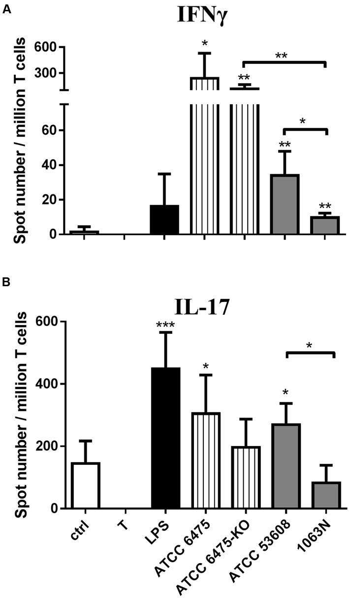 https://cdn.ncbi.nlm.nih.gov/pmc/blobs/62a7/5339304/25e1492c159a/fmicb-08-00321-g004.jpg