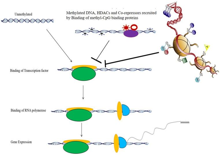 https://cdn.ncbi.nlm.nih.gov/pmc/blobs/62a7/9607337/6a4c50377a98/medicina-58-01366-g001.jpg