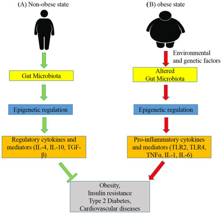 https://cdn.ncbi.nlm.nih.gov/pmc/blobs/62a7/9607337/d5a8efa99995/medicina-58-01366-g003.jpg