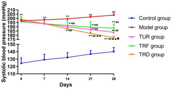 https://cdn.ncbi.nlm.nih.gov/pmc/blobs/62a8/10250630/c8c7cfeea283/fnins-17-1161578-g002.jpg
