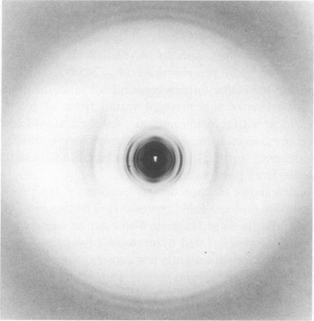 https://cdn.ncbi.nlm.nih.gov/pmc/blobs/62a8/1435272/c1843999d55d/biophysj00210-0217-a.jpg