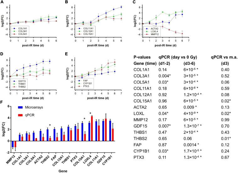 https://cdn.ncbi.nlm.nih.gov/pmc/blobs/62aa/7930333/64c384a4ed0a/fcell-09-539893-g006.jpg