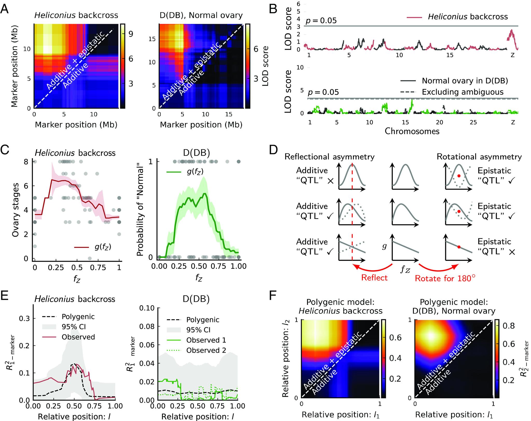 https://cdn.ncbi.nlm.nih.gov/pmc/blobs/62ab/10622916/bc34c1dde479/pnas.2300959120fig04.jpg