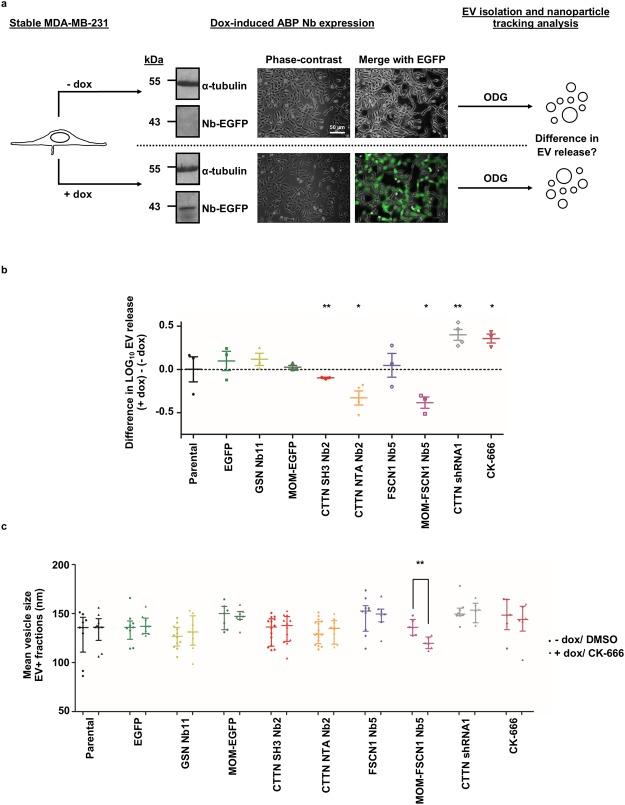 https://cdn.ncbi.nlm.nih.gov/pmc/blobs/62ac/6199335/483def2ccf9a/41598_2018_33868_Fig2_HTML.jpg