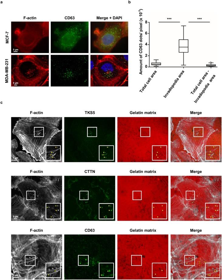 https://cdn.ncbi.nlm.nih.gov/pmc/blobs/62ac/6199335/a4766fba1dd0/41598_2018_33868_Fig4_HTML.jpg